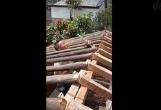 Mal cálculo, míster: albañil quedó atrapado en su propia construcción y es viral [VIDEO]