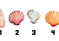 Elige una concha de mar en la imagen para reconocer tus rasgos más sobresalientes