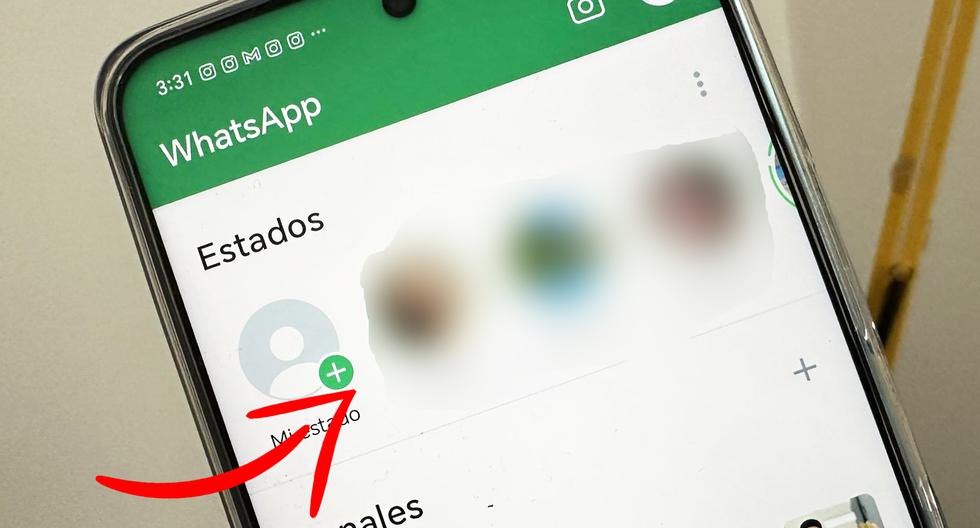 How to see all WhatsApp statuses in thumbnails |  Sports play