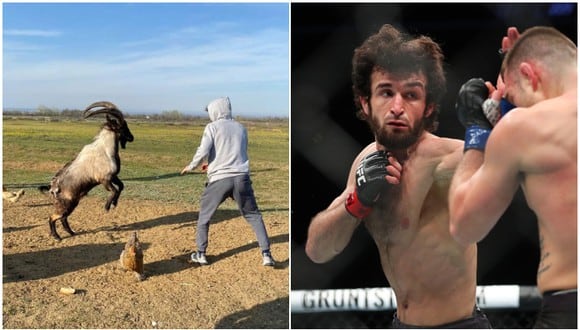 Peleador ruso de UFC tuvo insólito entrenamiento con un cabra. (Video: Instagram)