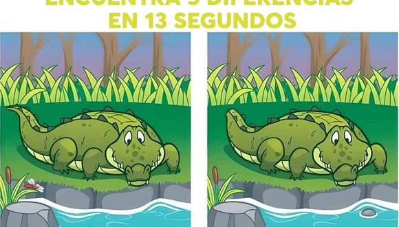 DESAFÍO VISUAL | Hay 5 diferencias entre las dos imágenes de cocodrilo y tienes 13 segundos para descubrirlas | Foto: jagranjosh
