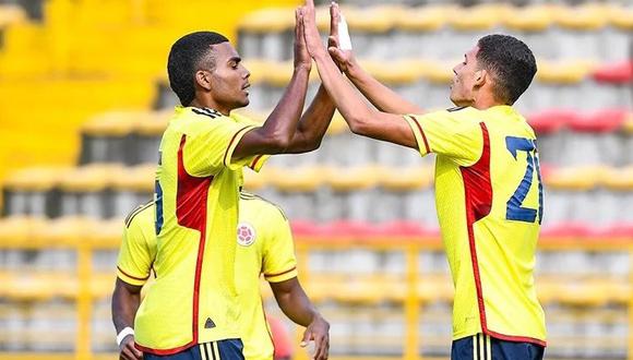 La Selección Colombia Sub-20 es dirigida por Héctor Cárdenas. (Foto: FCF)