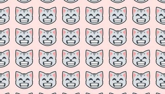 En esta imagen, cuyo fondo es de color rosado, hay muchos gatos. Uno de ellos es distinto al resto. (Foto: genial.guru)