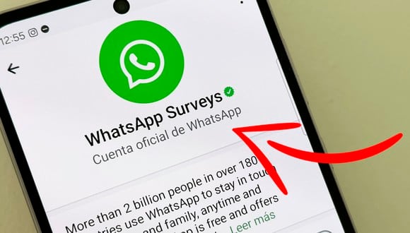 WHATSAPP | Si te llegó un mensaje de WhatsApp Surveys, aquí te digo todo lo que tienes que hacer de inmediato. (Foto: Depor - Rommel Yupanqui)