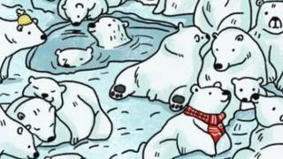 Un reto viral que sorprende a todos: ¿Puedes hallar a la foca entre los osos polares?  [VIDEO]