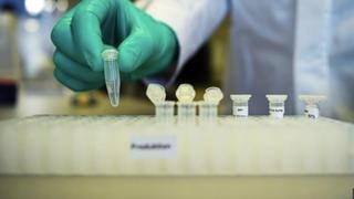 Ejecutan con éxito pruebas preclínicas de una vacuna contra el coronavirus en Alemania