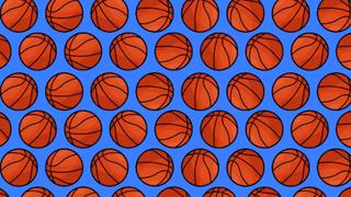No te hagas bolas: ¿puedes hallar las 4 pelotas de voleibol escondidas en este reto viral? [FOTO]