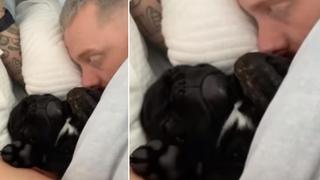 Los ronquidos de un perro mientras duerme con su amo generan ternura en redes sociales