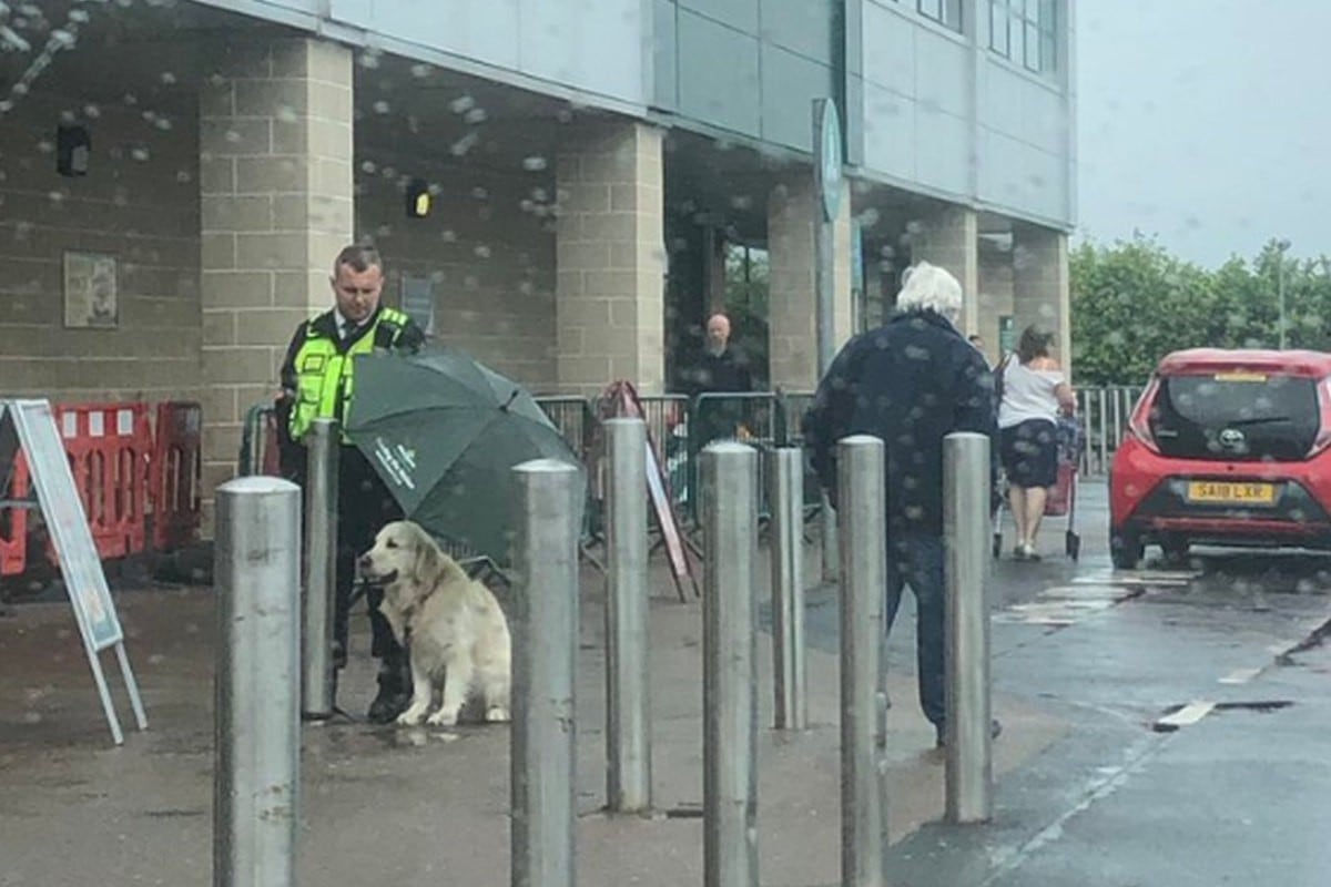 Foto 1 de 3 | El guardia de seguridad usó un paraguas para que el perro no se mojara por la lluvia. (Twitter: @MelGracie)