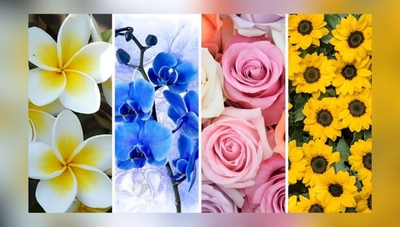 Descubre cuál es tu lucha interna con solo elegir una de las flores en este test visual (Foto: Namastest).