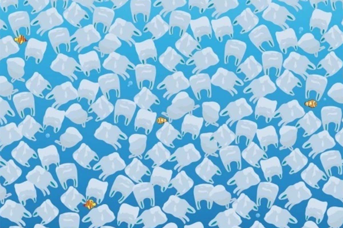 Una medusa se oculta entre las bolsas de plástico que componen esta imagen. | Foto: Bahari/Facebook. (Desliza hacia la izquierda para ver más imágenes).
