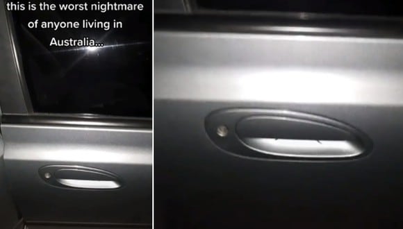 Se llevó el susto de su vida al querer abrir la puerta de su auto. (Foto: @aussiemanreviewed / TikTok)