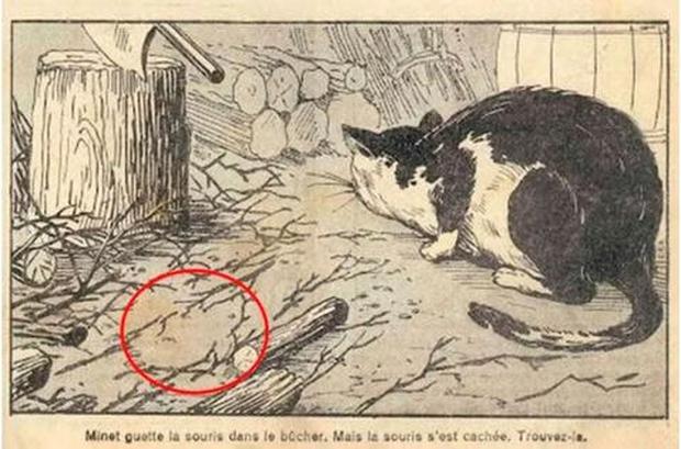 Solución del reto viral del gato: aquí está el ratón que solo el 10% pudo resolver. (Foto: American Puzzle Cards)