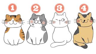 Elige uno de los gatos y este test de personalidad mostrará cuál es tu propósito de vida 