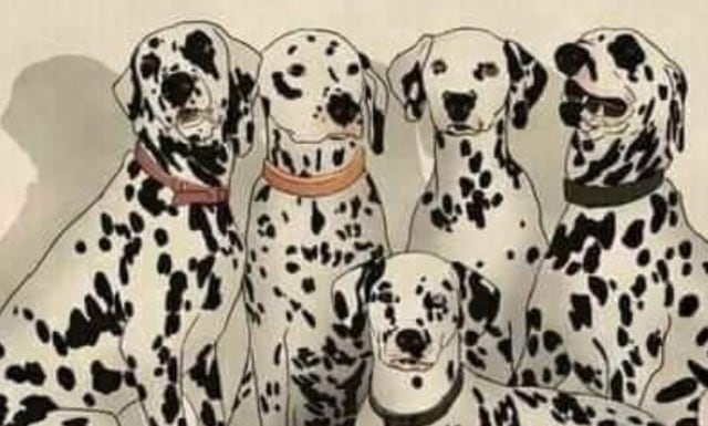 Halla al panda escondido entre los perros dálmatas de esta gráfica viral. (Televisa)