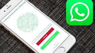 Cómo actualizar WhatsApp Plus en tu celular