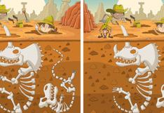 Tienes 15 segundos para encontrar las diferencias entre los restos de los dinosaurios