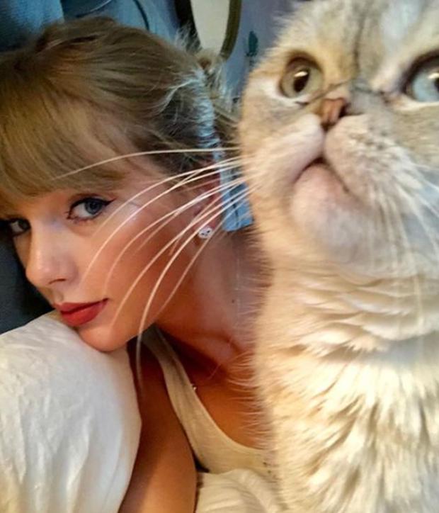 La gatita junto a su dueña (Foto: Taylor Swift / Instagram)