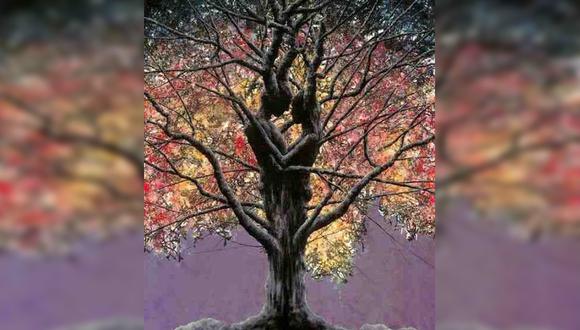 En la imagen del test visual se aprecia un árbol frondoso y una pareja.| Foto: chedonna