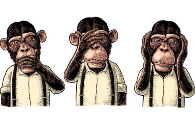Visual test: choose one of the three strange monkeys and discover your degree of intelligence.  (Photo: Cool.Guru)