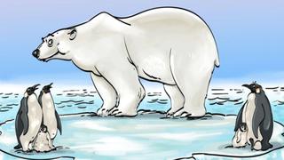 Acertijo visual de ‘GENIOS’: ¿ubicas el error en el reto viral del oso polar? Tienes 4 segundos