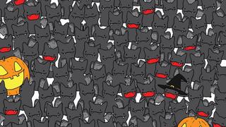 No te dejes engañar: ¿Puedes ver al gato negro oculto entre los murciélagos de este desafío visual? [FOTO]