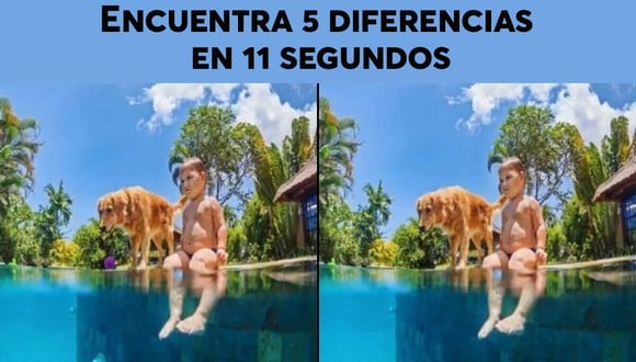 DESAFÍO VISUAL | Las dos imágenes tienen un total de 5 diferencias entre ellas, y el desafío es detectar estas diferencias en 11 segundos.