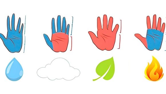 Test visual: el tamaño de tu mano revelará los secretos de tu personalidad según esta prueba (Foto: GenialGuru).