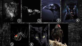 ¿Tienes un lado oscuro? Descúbrelo en este test viral al escoger uno de los animales que más te atraiga