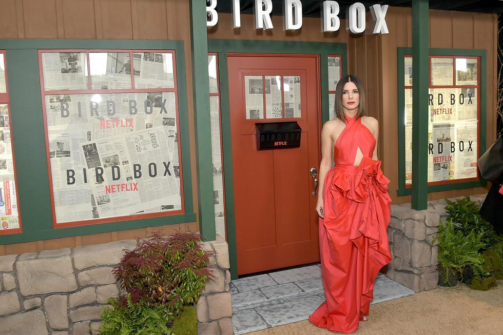 Sandra Bullock revela la conmovedora razón por la que aceptó protagonizar “Bird Box”. (Foto: AFP)