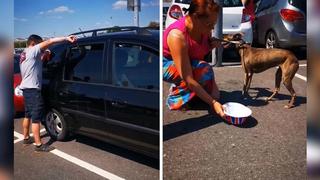 Héroes sin capa salvan a perrito a punto de morir sofocado dentro de auto