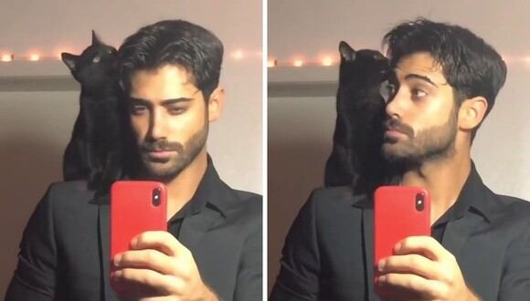La grabación dio cuenta del cariño que siente la gata por su amo. (Foto: @_merayad | Instagram)