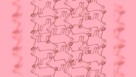 Tienes que intentar buscar los cerdos que están dibujados de manera completa en este acertijo visual.| Foto: genial.guru