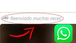 WhatsApp: qué es “reenviado muchas veces” y cómo eliminarlo