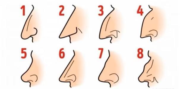 Personality test: answer what type your nose is and reveal a mental problem of yours.  (Photo: Cool.Guru)