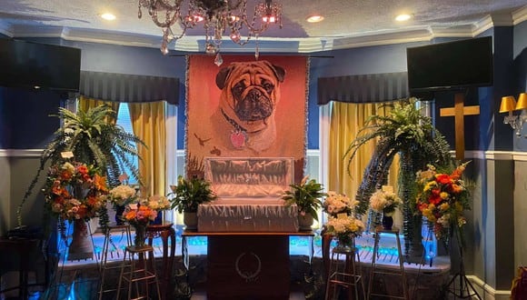 Hombre decidió organizarle un funeral extravagante a su perro. (Foto: Tim Beville Jr. / Facebook)