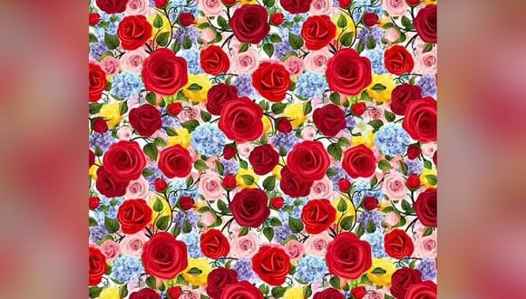 Solo el 5% de las personas pueden detectar la flor de lirio escondida entre las rosas en la imagen en 11 segundos. (Foto: Reassured)
