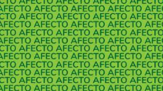 Encuentra la palabra “EFECTO” en esta sopa de letras: resuelve el acertijo más difícil de hoy