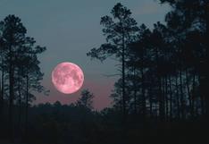 ¿A qué hora se pudo ver con claridad la Luna Rosa 2024 en México? Cómo ver la Luna Llena