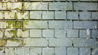 Cómo quitar el moho de las paredes de manera efectiva