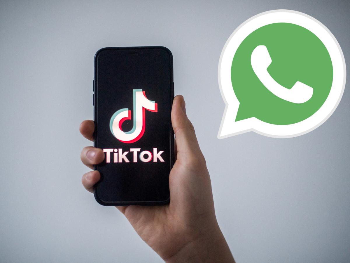 WhatsApp: Conoce las dos maneras de compartir un video de TikTok