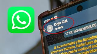 Cómo ver tus mensajes sin estar “en línea” en WhatsApp Plus