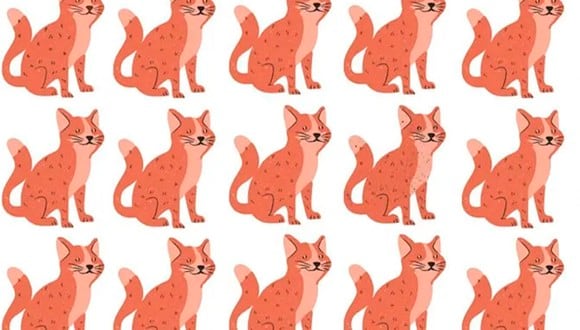 ¿Puedes ver al gatito distinto en esta ilustración? Atrévete a resolver este reto viral. | Foto: Diario de Cuyo