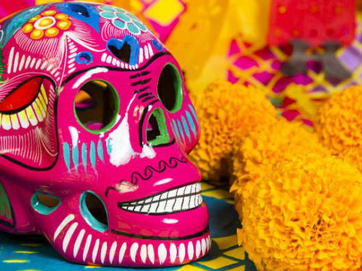 Todo sobre la Cempasúchil, la flor del Día de Muertos | Ofrendas |  Secretaría de Agricultura y Desarrollo Rural mexicana| México | Día de los  difuntos | flor de 20 pétalos | rituales | nnda-nnlt | MEXICO | DEPOR