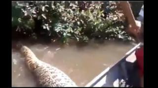 Terror en lo profundo: anaconda pasa por debajo de su embarcación y los empuja [VIDEO]