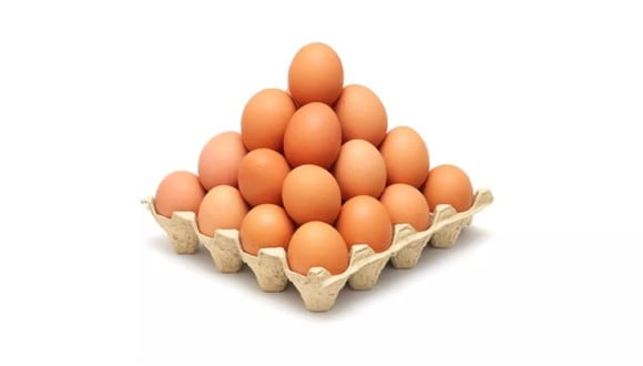 ACERTIJO VISUAL | Esta imagen te permite apreciar muchos huevos bien acomodados en una huevera. |  IndiaTimes