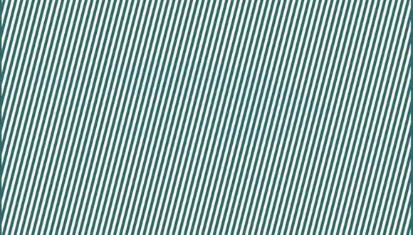Prueba de inteligencia con ilusiones ópticas: ¿Puedes ver una tortuga escondida detrás de líneas diagonales en 11 segundos?
(Fuente: cortesía Brightside.com)