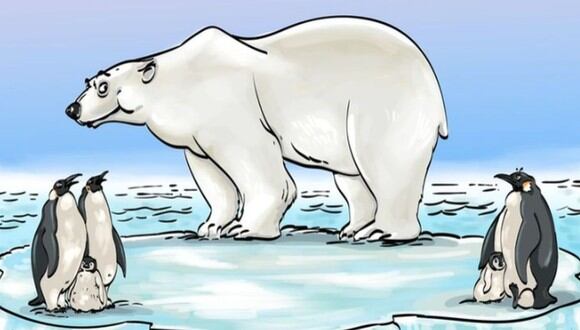 ¿Puedes encontrar el error en el acertijo visual del oso polar? Tienes 4 segundos (Foto: Genial.Guru).