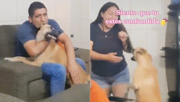 La perra ladra a la mujer cuando ella se acerca a su dueño. (Imagen: @sammy4patitas / TikTok)