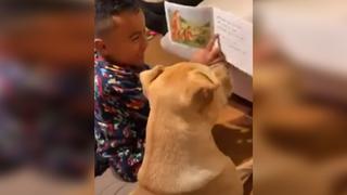Niño enseña a leer a su perro y su tierna reacción es viral en redes sociales 